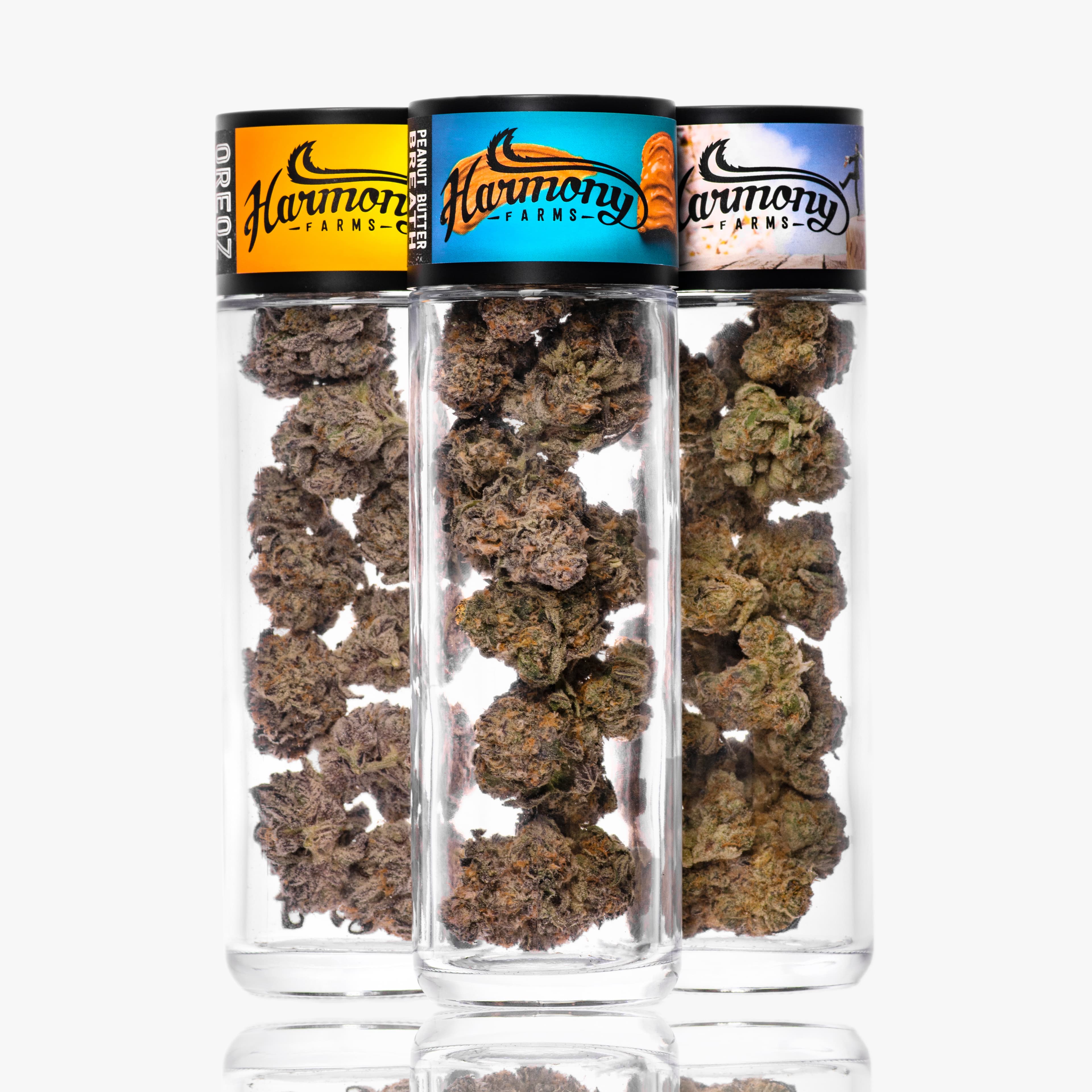 2g - Wedding Cake - Harmony Farms - DOH Flower - I