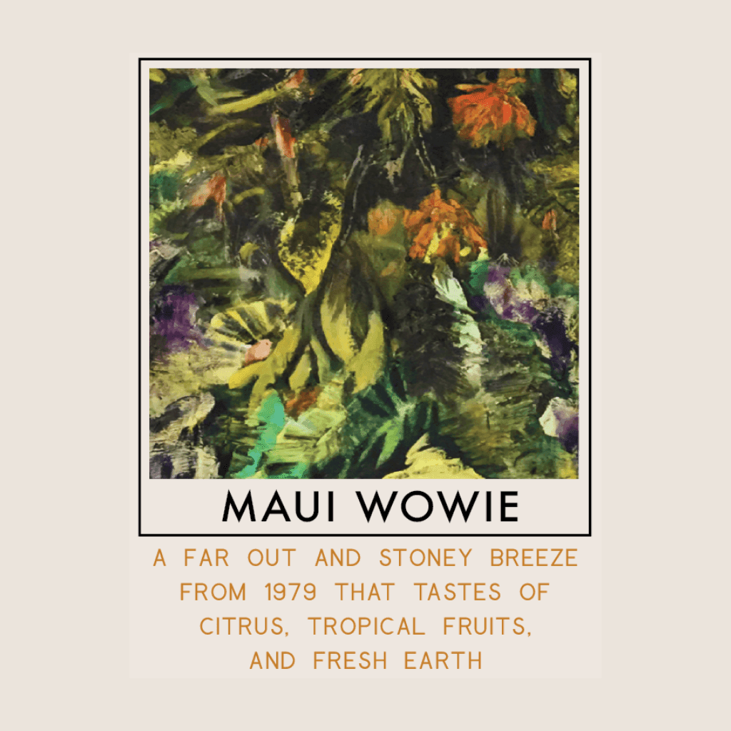 3.5g - Maui Wowee - Raven Grass - DOH Flower - S