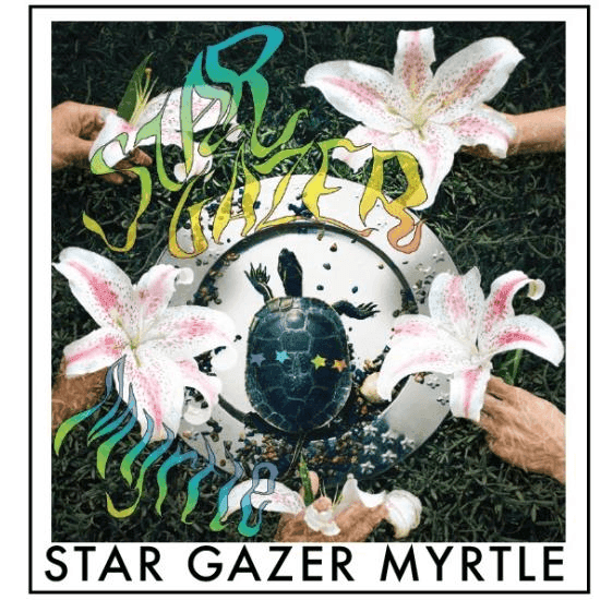 3pk - .6g - Stargazer Myrtle - Raven Grass - Preroll - S - CBD:THC