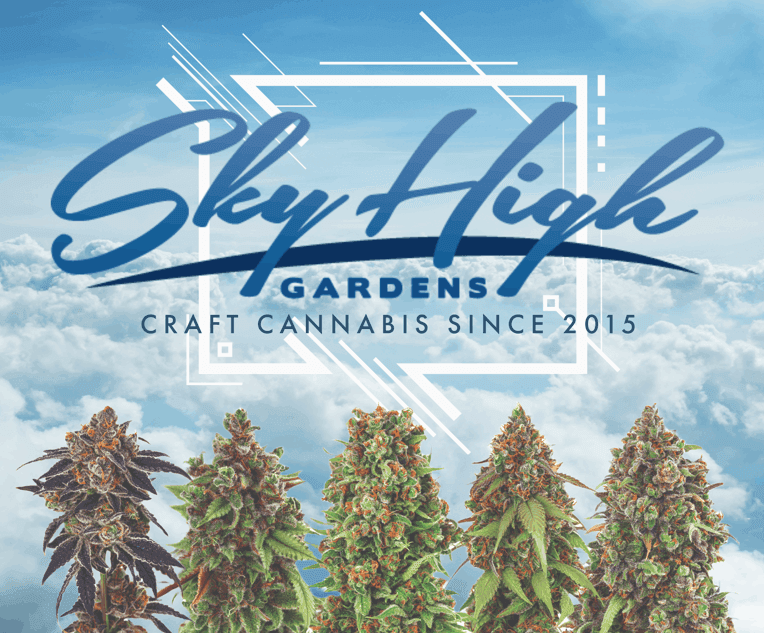 3.5g - Apple Rain - Sky High Gardens - DOH Flower - H