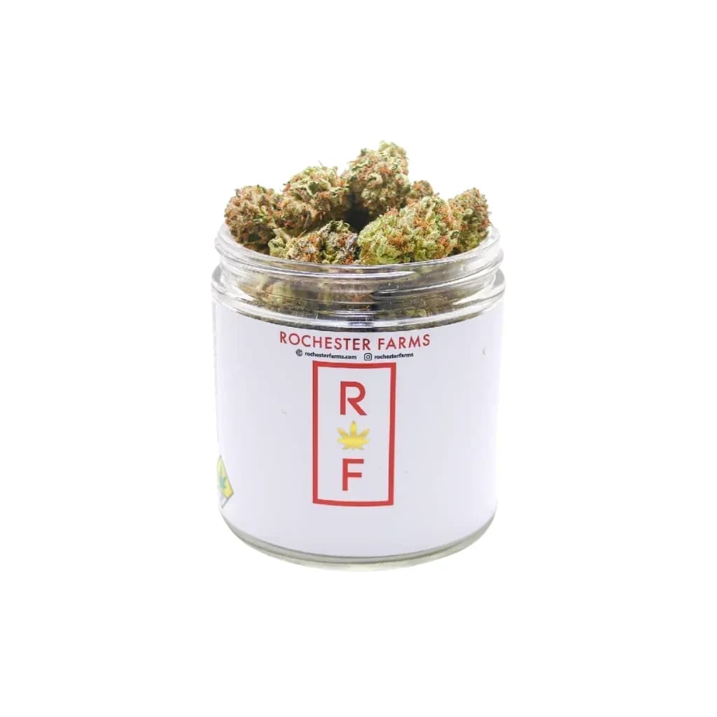 1g - Georgia Pie - Rochester Farms - DOH Flower - H