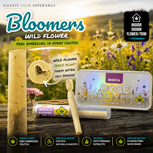 1g - Birthday Cake *Bloomer* - Dose Oil - DOH Infused Preroll - H