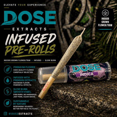 1g - Gods Gift *Joint* - DOSE - DOH Infused Prerolls - I