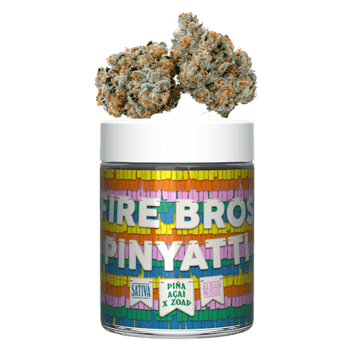 1g - Pinyatti - Firebros - DOH Flower - S