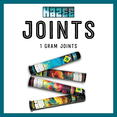 1g - Snozzberry - Hazee - DOH Preroll - I