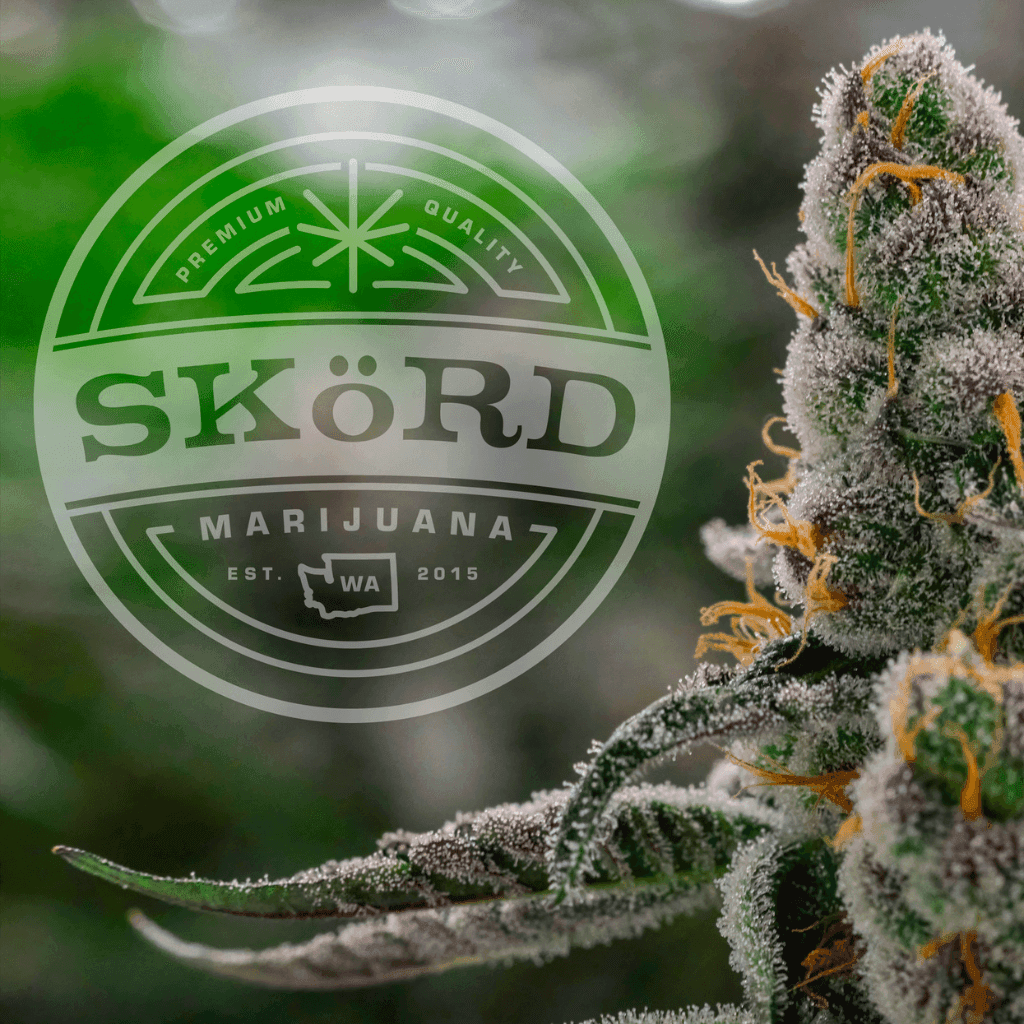 3.5g - Blue Lime Pie - SkoRD - DOH Flower - IH