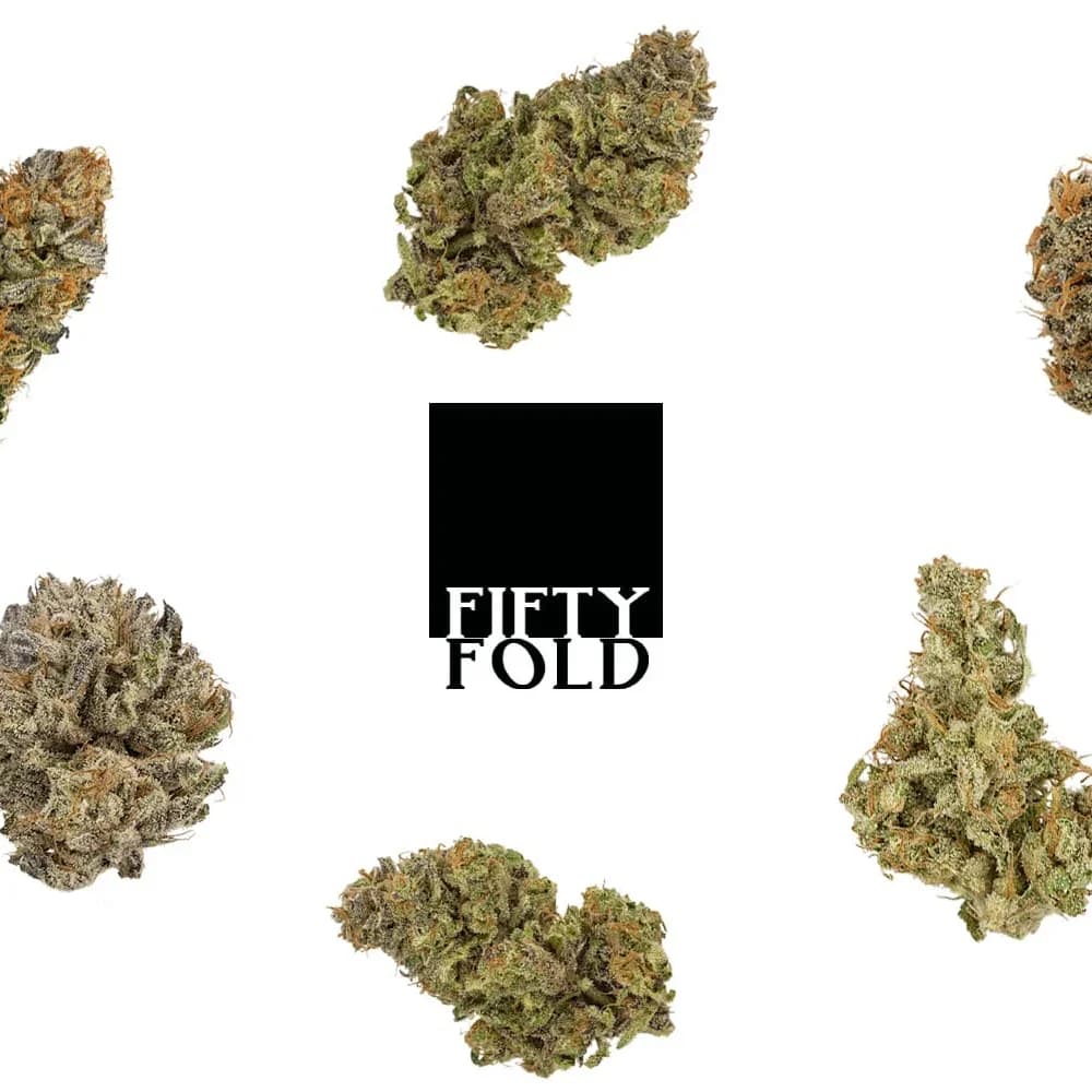 7g - Love - Fifty Fold - DOH Flower - S