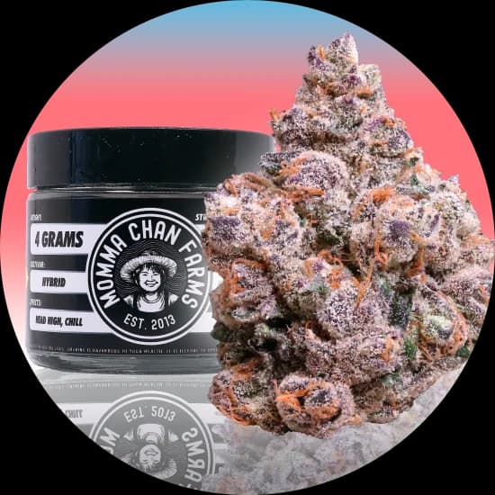 4g - Rainier Cherry Gelato - Momma Chans - DOH Flower - H