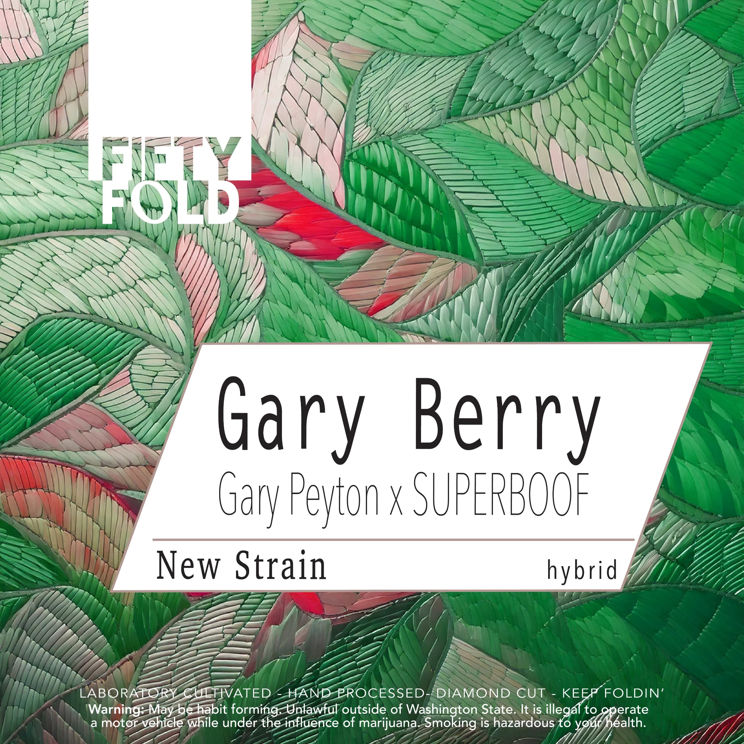 3.5g - Gary Berry - Fifty Fold - DOH Flower - H