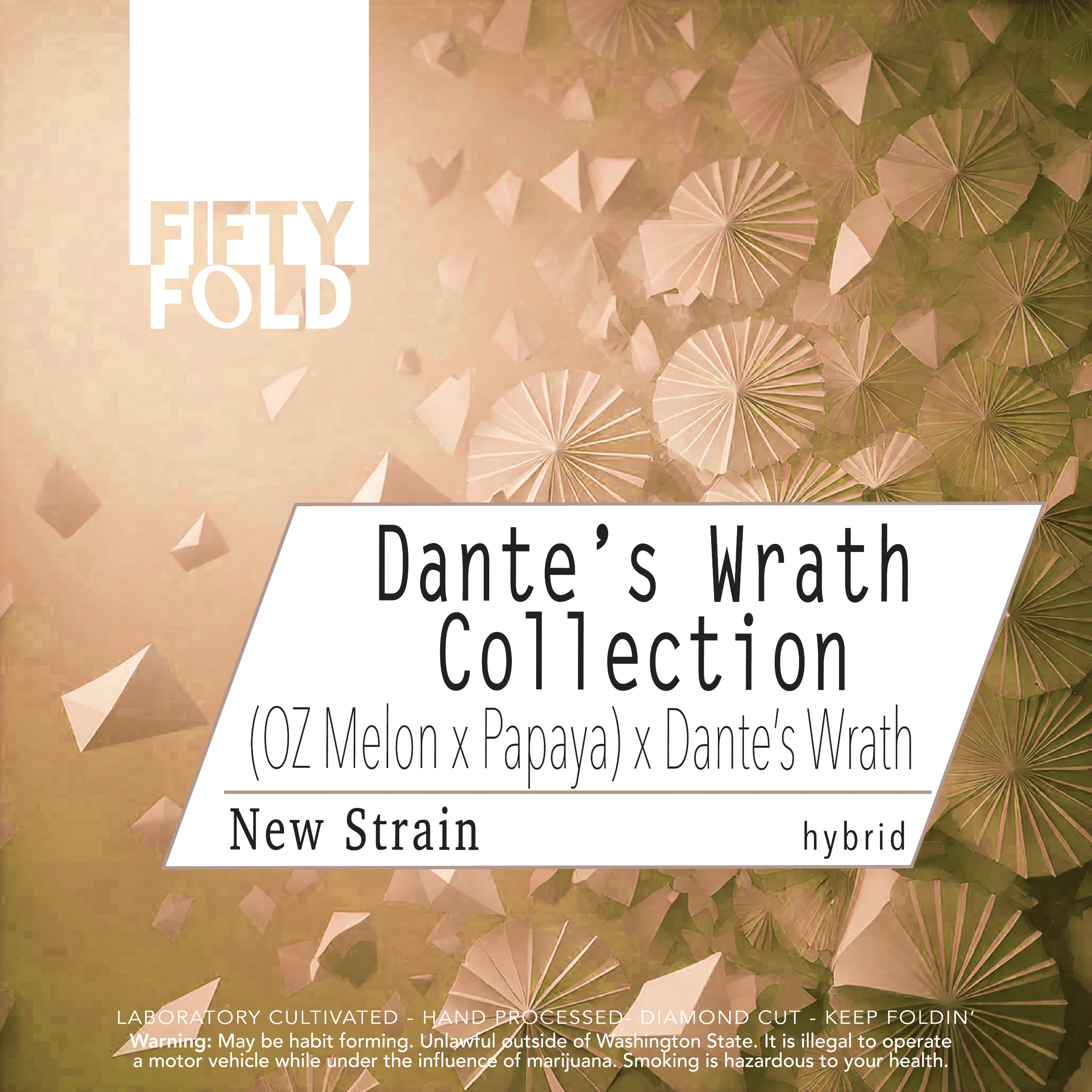 3.5g - (Ozmelon x Papaya) x Dante's Wrath #5 - Fifty Fold - DOH Flower - H