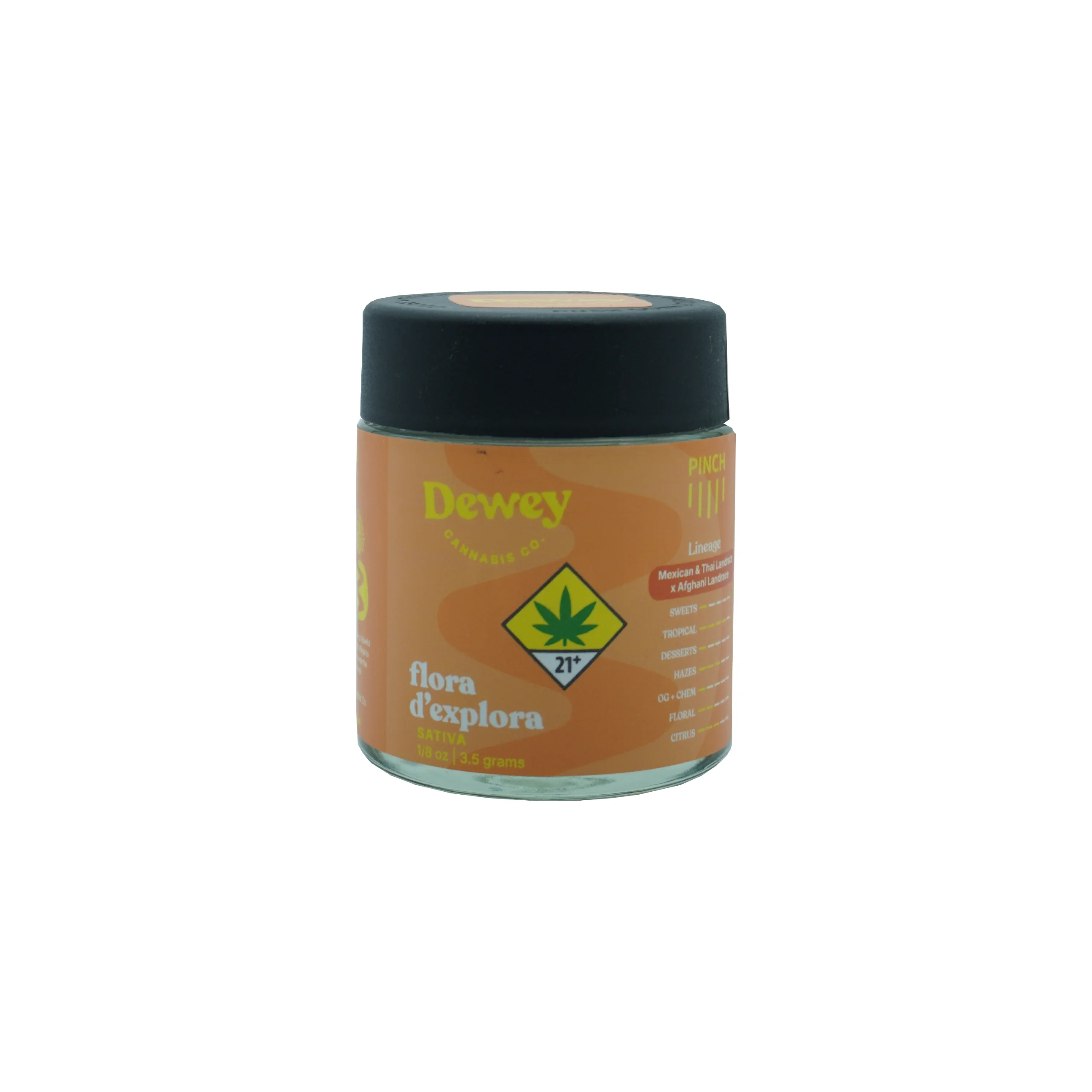 3.5g - Flora D'Explora - Dewey - DOH Flower - S
