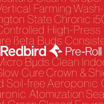 1g - Blueberry Haze - Redbird Cannabis - DOH Preroll - S