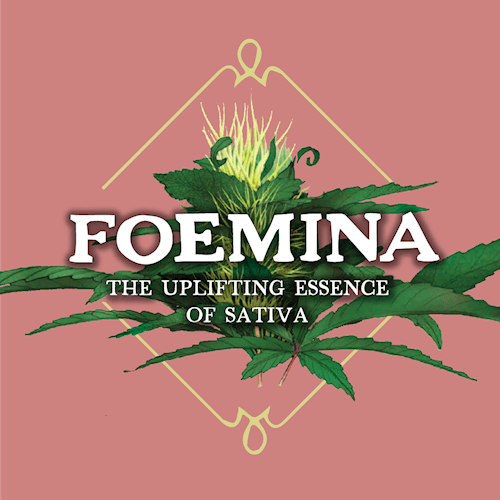 3.5g - Hawaiian Pancakes - Foemina - DOH Flower - S