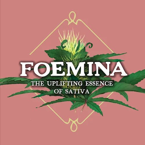 1g - Jack Herer - Foemina - DOH Infused Preroll - Live Resin & Diamonds - S