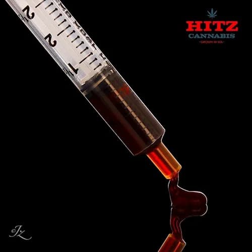 1g - LSD "Lemon Sour Diesel" - Hitz Cannabis - RSO - SH