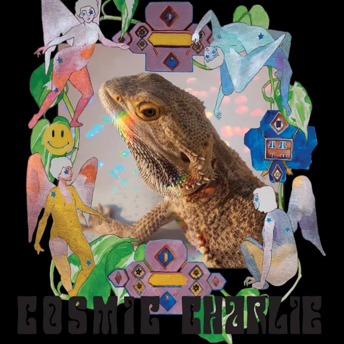 3.5g - Cosmic Charlie - Raven Grass - DOH Flower - CBD