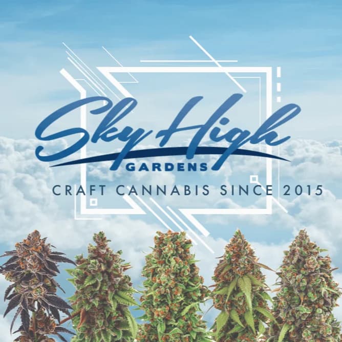 2pk - .6g - Hot Pink - Sky High Gardens - DOH Preroll - H