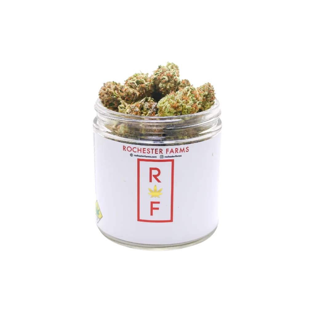3.5g - Gary Payton - Rochester Farms - DOH Flower - H