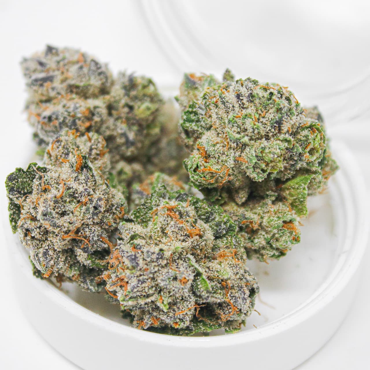 3.5g - Frankenstein - Rochester Farms - DOH Flower - I