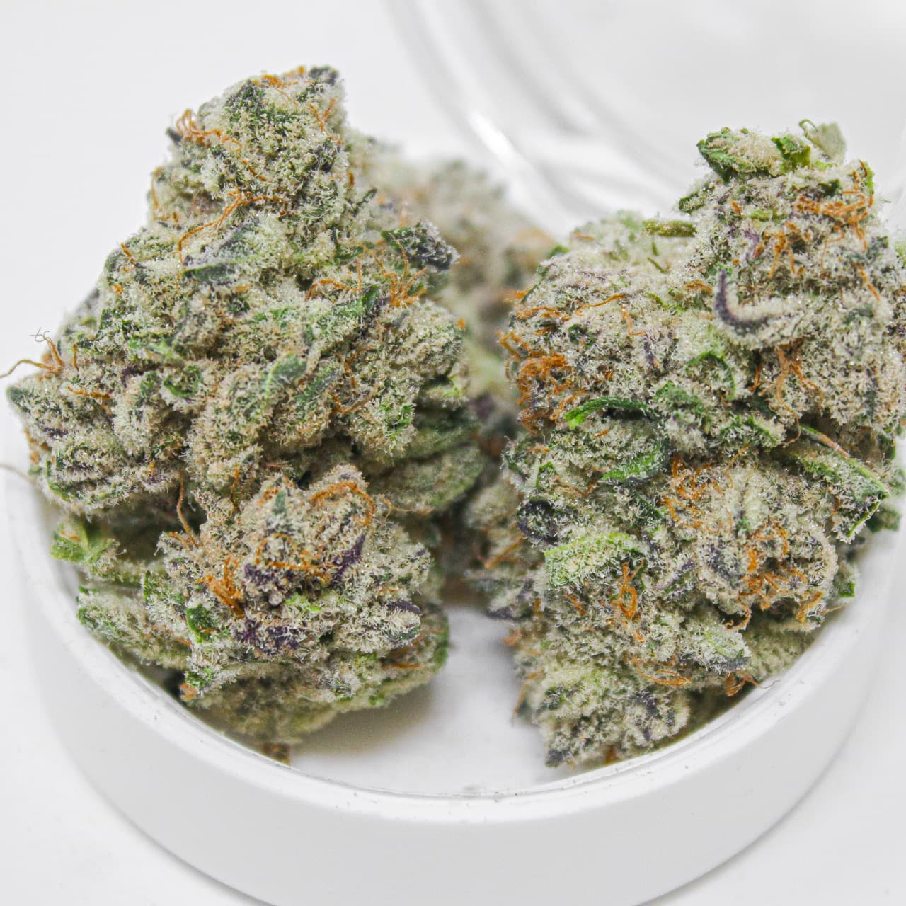 1g - Purple Punch - Rochester Farms - DOH Flower - I