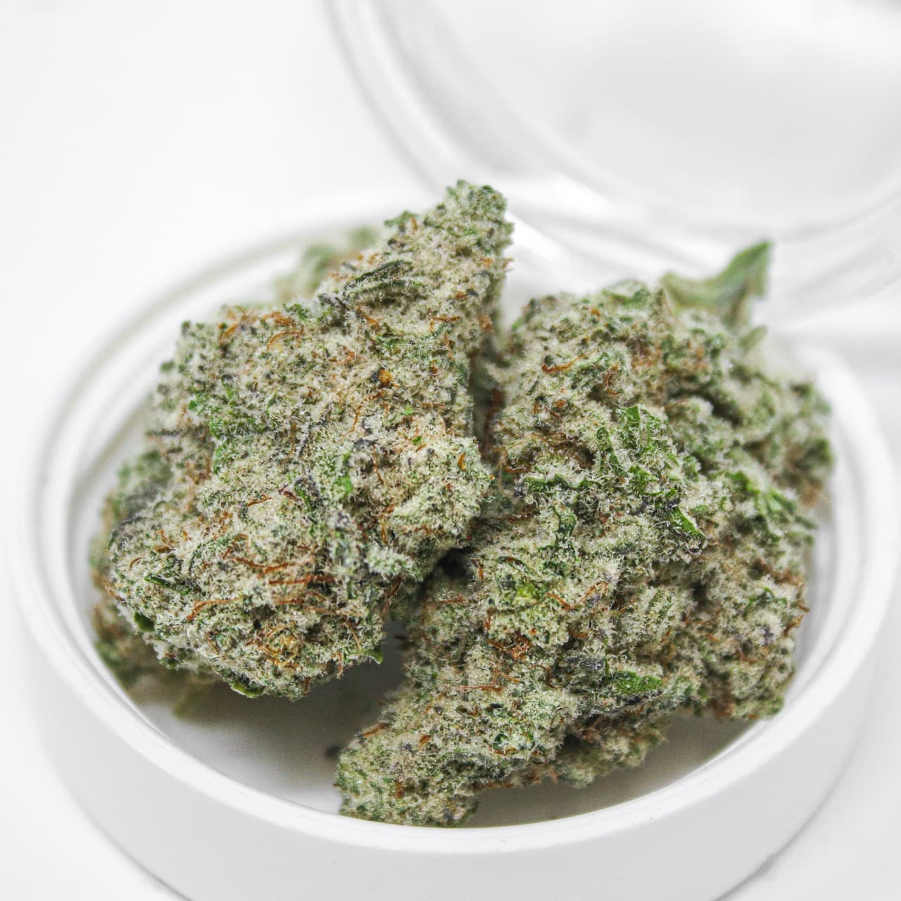 1g - MAC 1 - Rochester Farms - DOH Flower - H