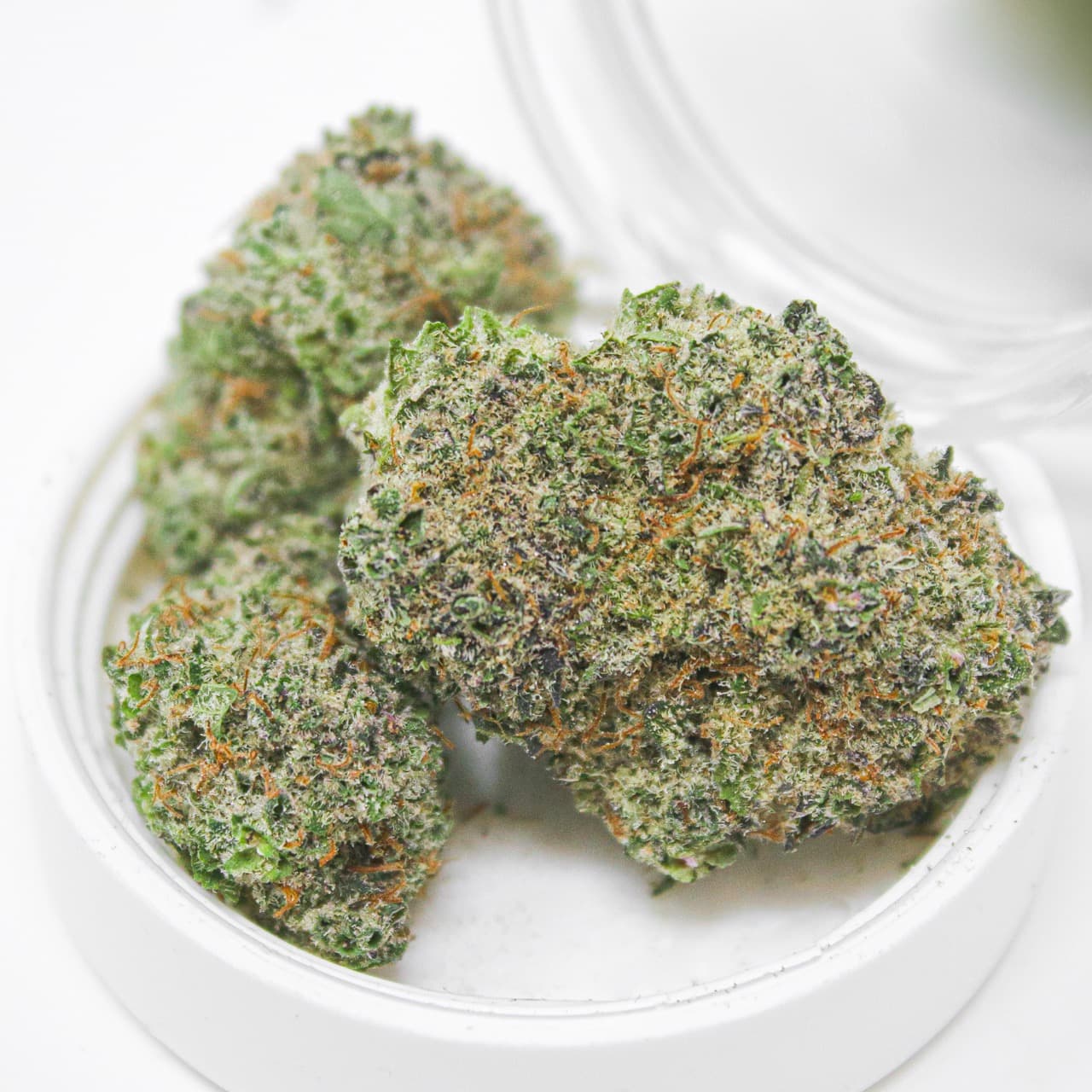 14g - Purple Pineapple Express - Rochester Farms - DOH Flower - IH