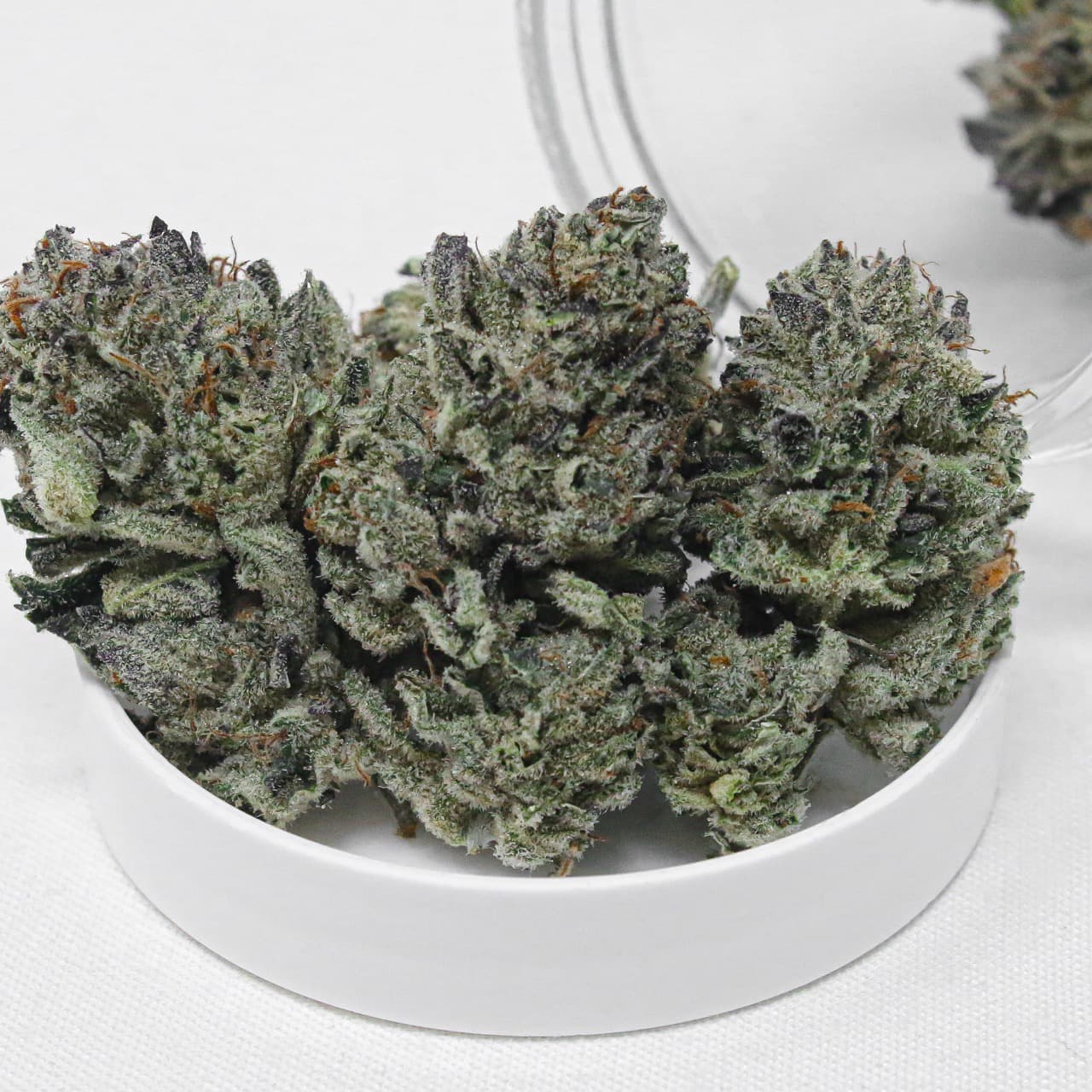 1g - Drip Station - Rochester Farms - DOH Flower - S