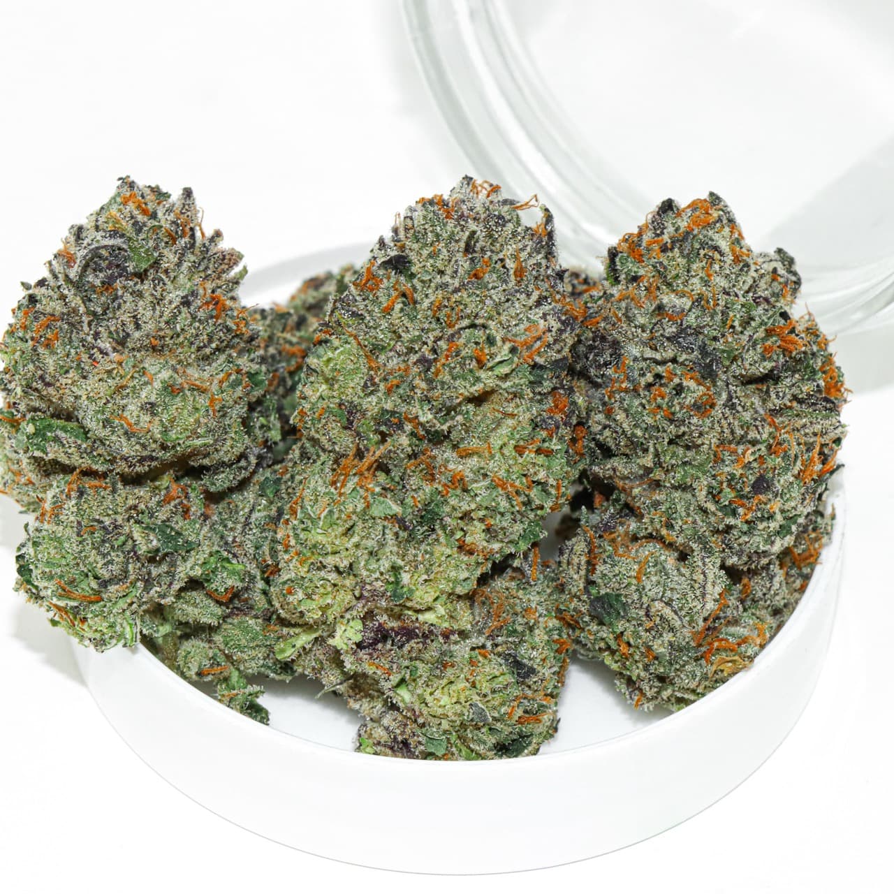 1g - Gas Runtz - Rochester Farms - DOH Flower - I