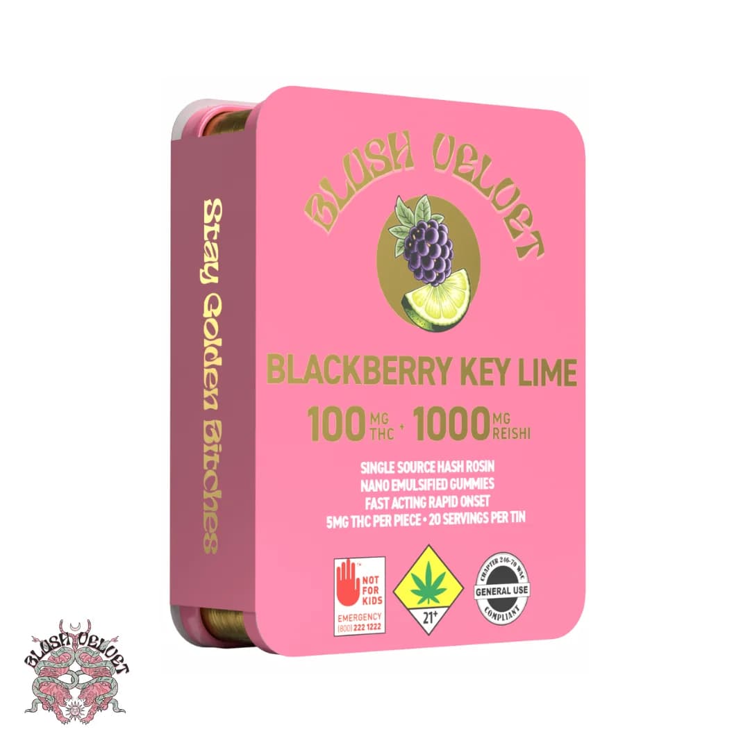 100mg - 10pk - Blackberry Key Lime + 1000mg Reishi - Blush Velvet - DOH Edibles - H