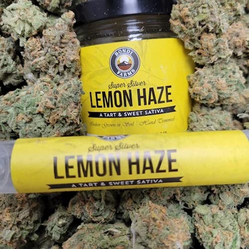 2pk - .5g - Super Silver Lemon Haze - Bondi - Preroll - Pack - DOH Compliant - S