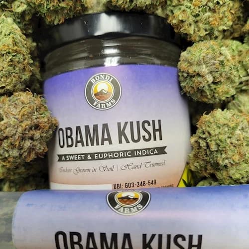 2pk - .5g - Obama Kush - Bondi - Preroll - Pack - DOH Compliant - I