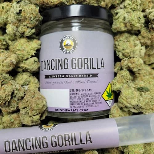 2pk - .5g - Dancing Gorilla - Bondi - Preroll - Pack - DOH Compliant - H