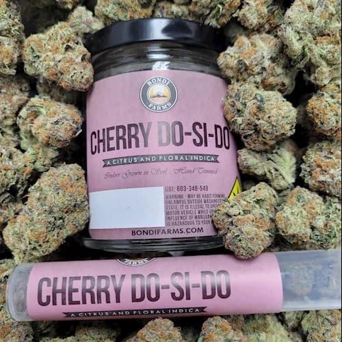 2pk - .5g - Cherry Dosidos - Bondi - Preroll - Pack - DOH Compliant - I