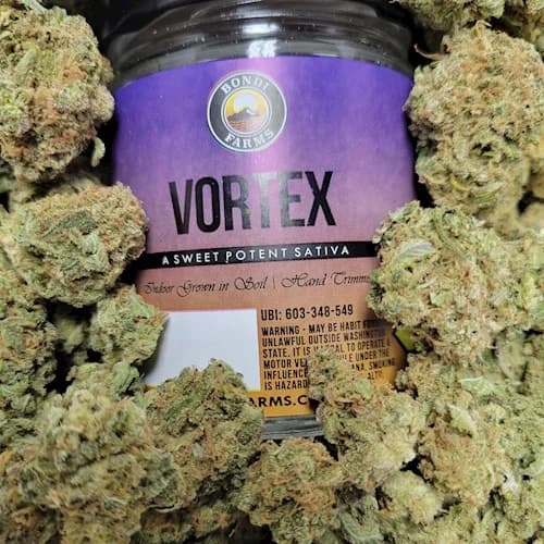 10pk - .5g - Vortex - Bondi - Preroll - Pack - DOH Compliant - S