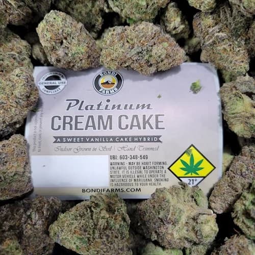 10pk - .5g - Platinum Cream Cake - Bondi - DOH Preroll - H