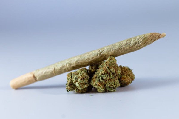 1g - Mimosa *Blunt*- Harmony Farms - Preroll - S
