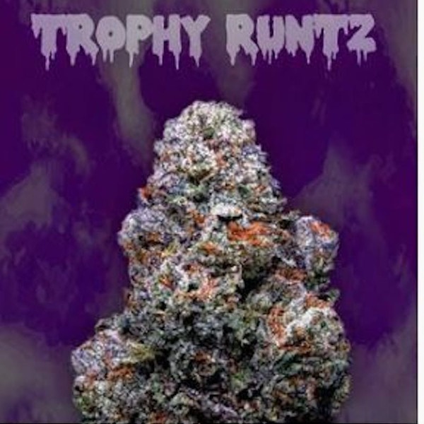 1g - Trophy Runtz - Ooowee - Infused Preroll - Outside - Kief + Oil - DOH Compliant - H