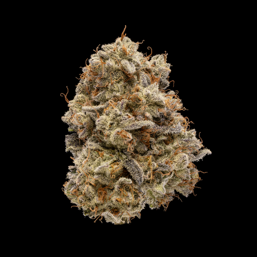 1g - GB  *Elevated* - Plaid Jacket - DOH Cartridge - Disposable - Cured Resin - I