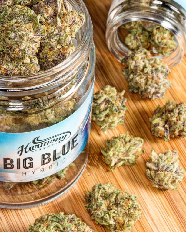 Seattle Cannabis Co best marijuana dispensary cannabis concentrates edibles and vape in seattle washington harmony big blue
