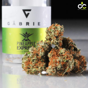 Seattle Cannabis Co best marijuana dispensary cannabis concentrates edibles and vape in seattle washington gabriel pineapple express