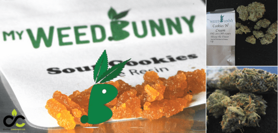 Seattle Cannabis Co best marijuana dispensary cannabis concentrates edibles and vape in seattle washington my weed bunny sour cookies
